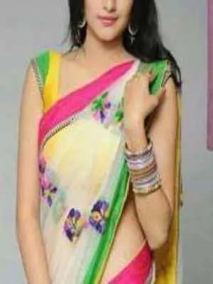 Udaipur Escorts - Mahima