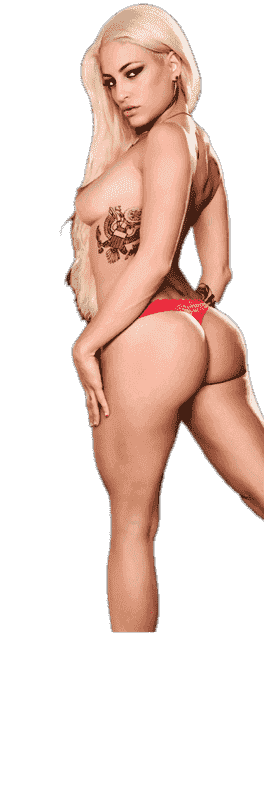 Escorts in Udaipur Banner