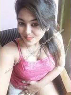 Ludhiana Escort Service