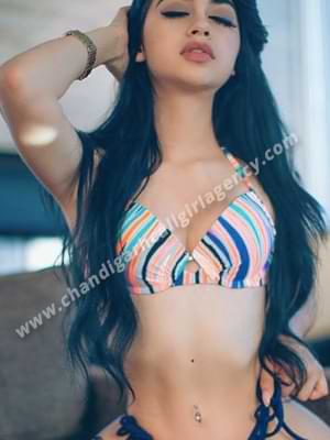 Call Girls in Amritsar